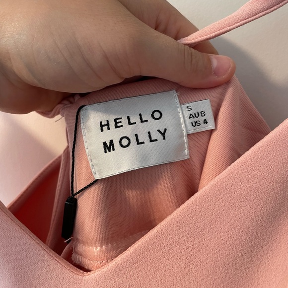 NWT Hello Molly “I Know A Guy” Dress Blush - Picture 11 of 12